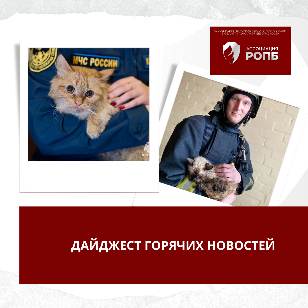 "Горячие" новости недели