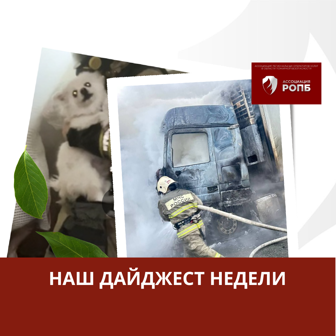 Дайджест горячих событий недели