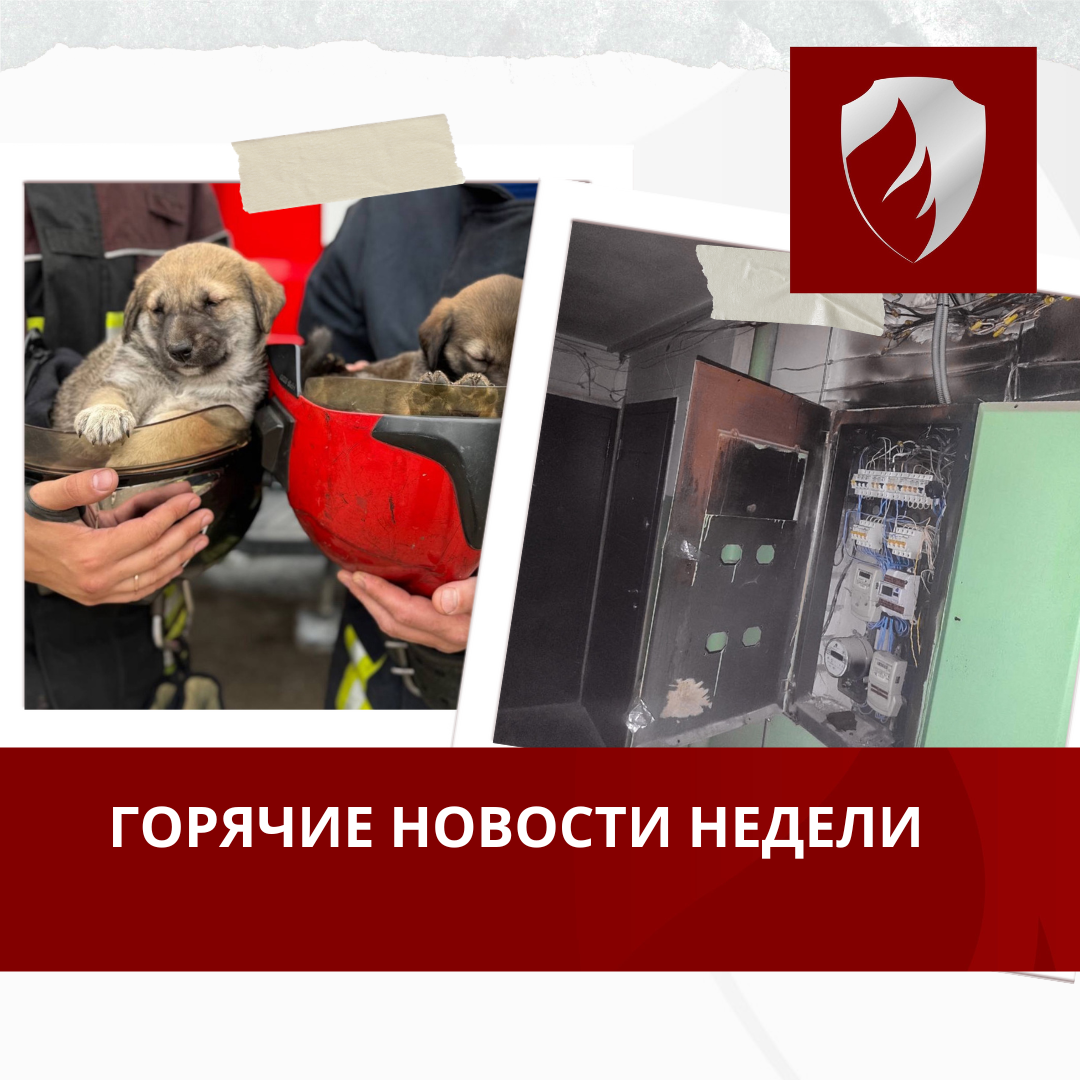 Горячие новости недели